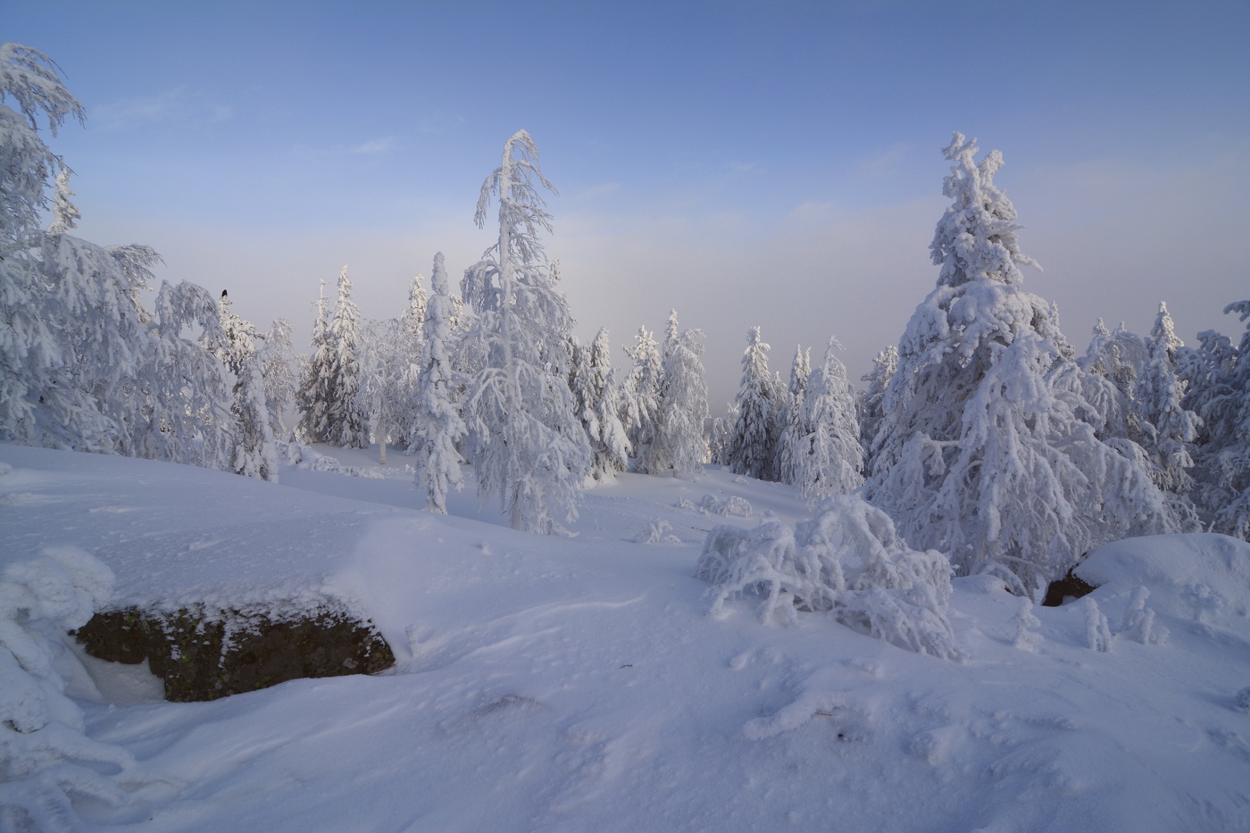 Зимняя сказка.