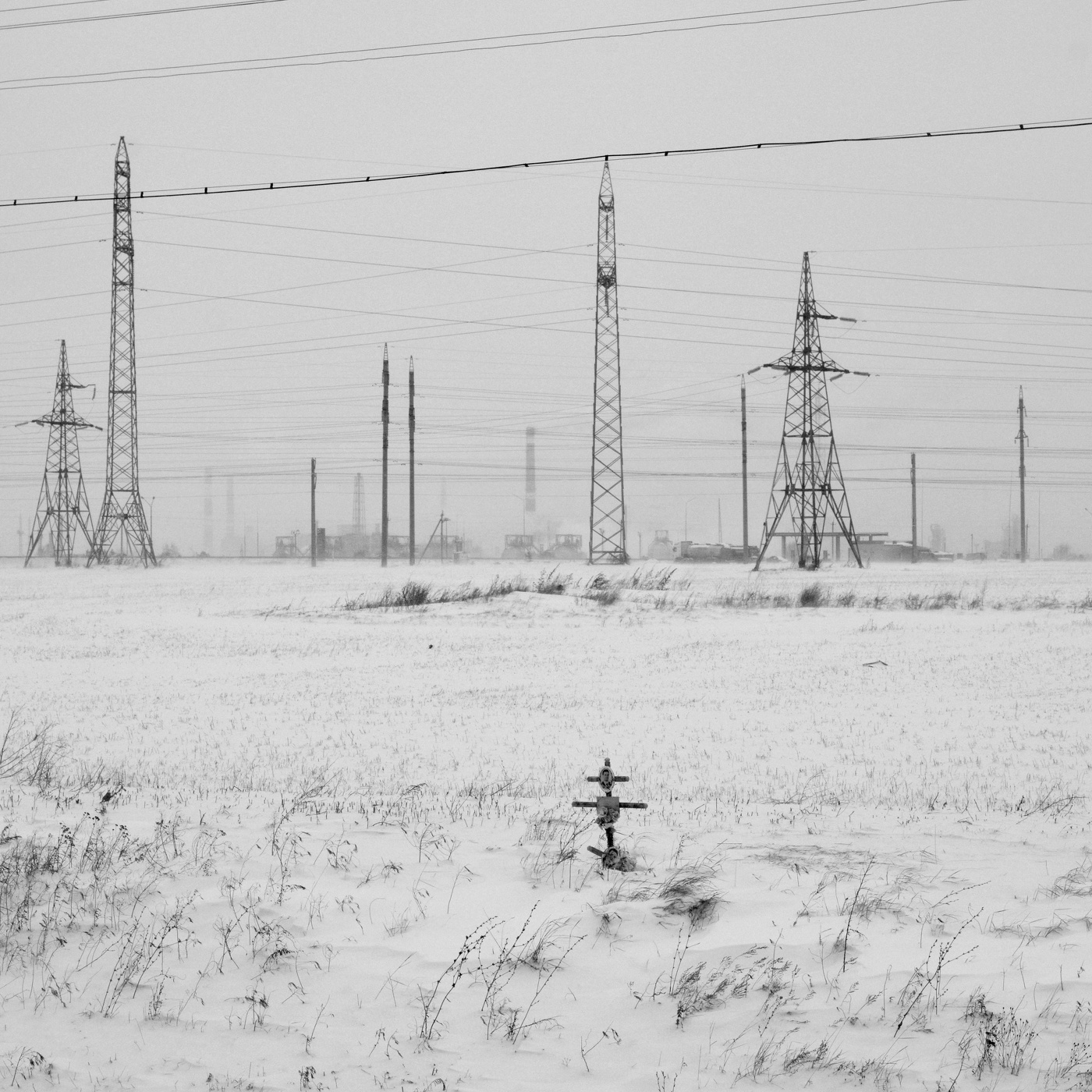 Жизнь вокруг