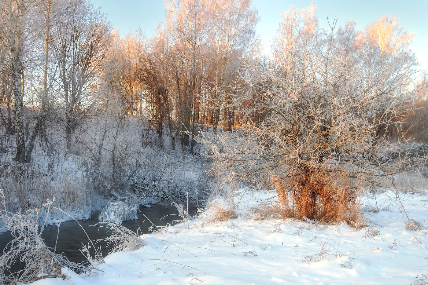 Морозное утро