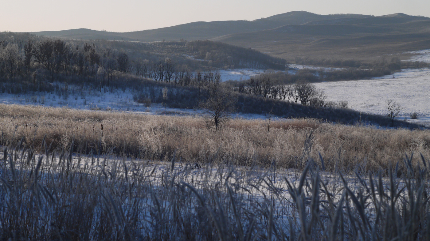 Зимняя прогулка в сопках.