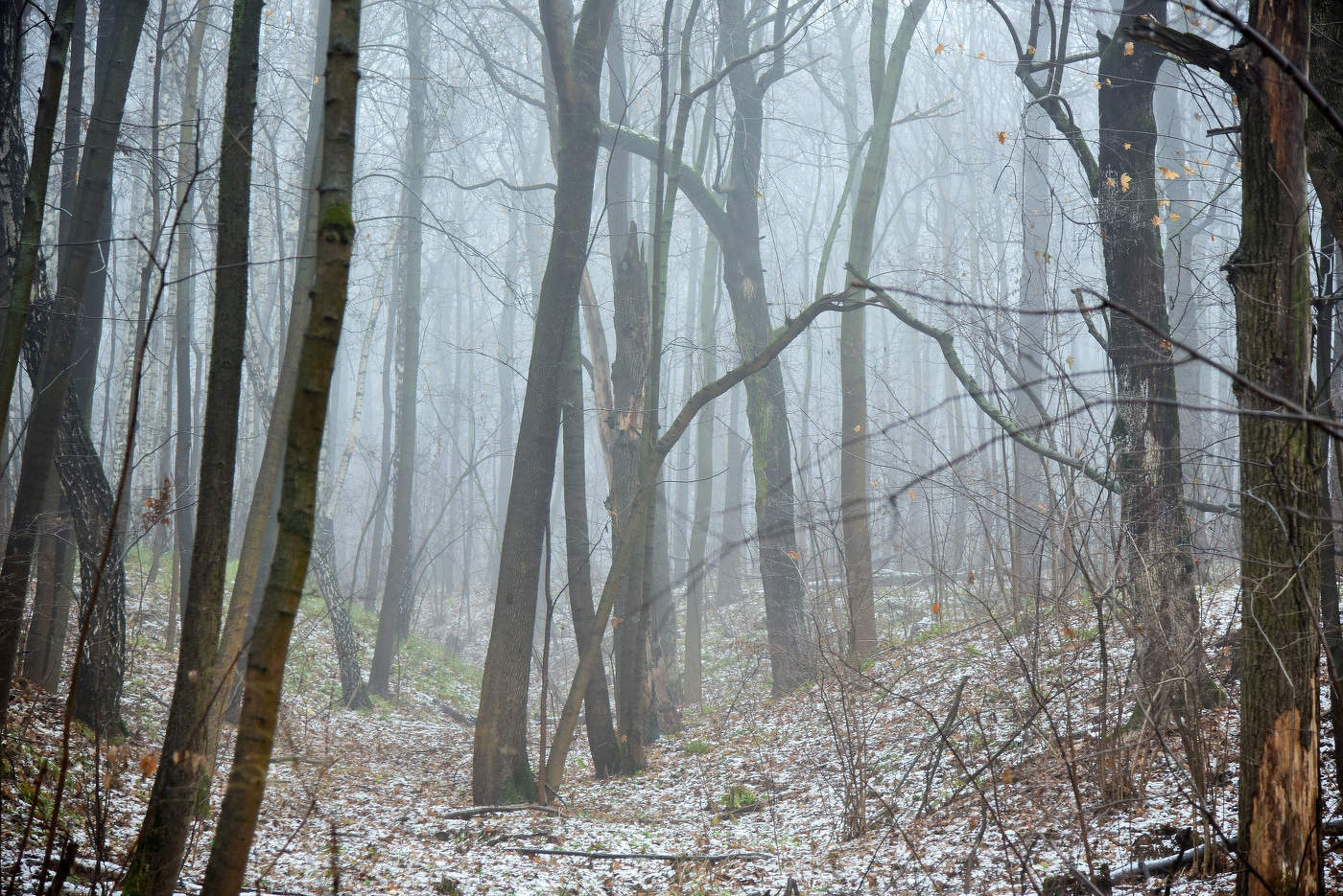 "Поздней осени суть ..."
