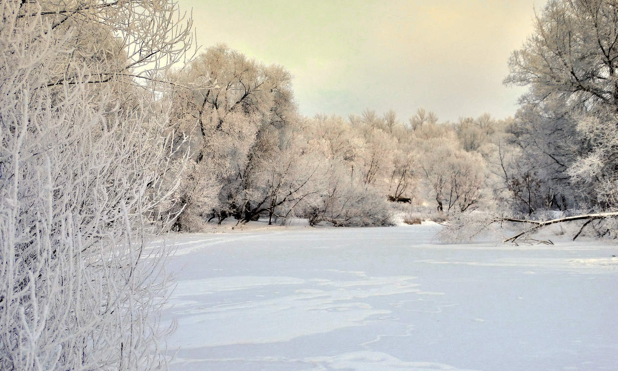 Зима украсила природу