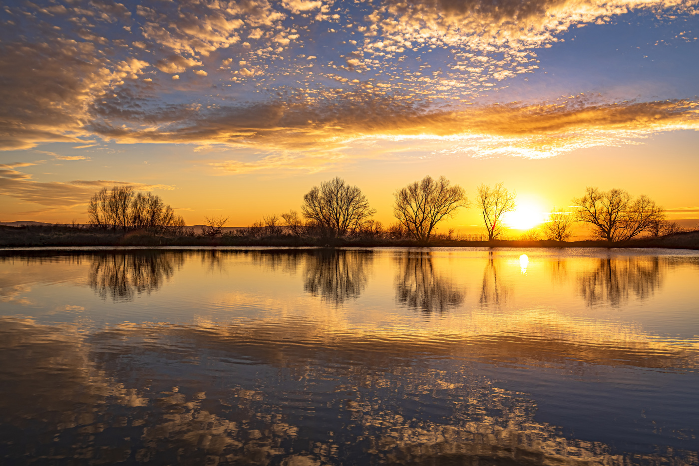 На прощание