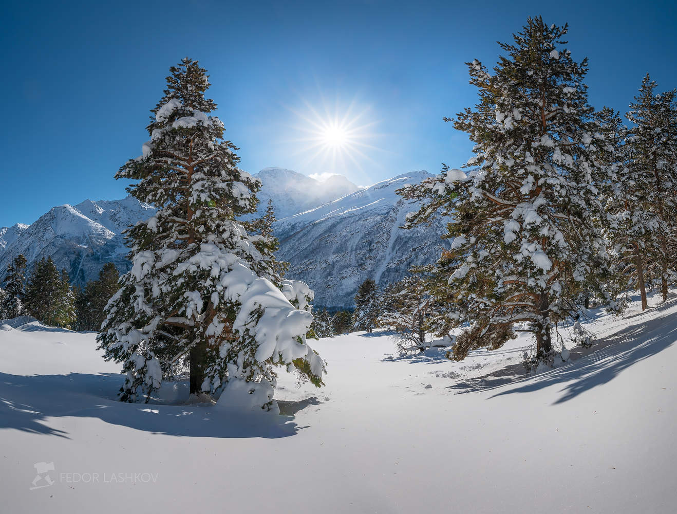 Мороз и солнце; день чудесный!
