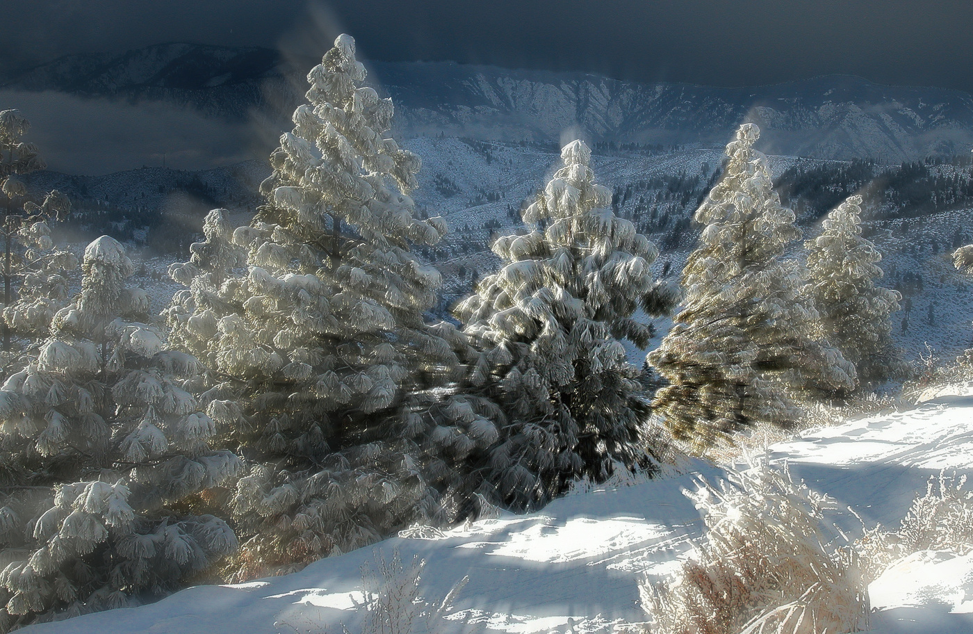 Снежный взрыв