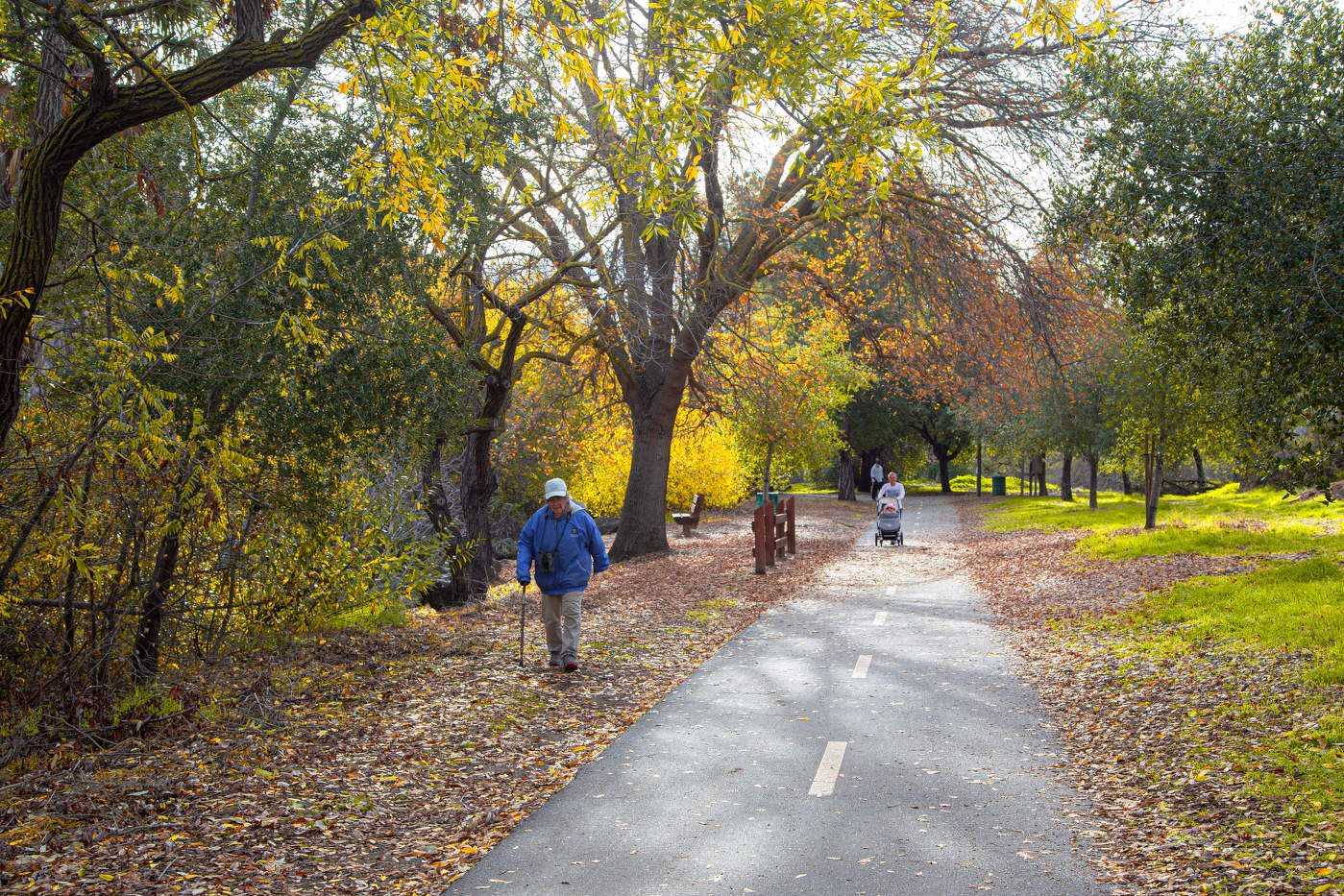 Калифорнийская зима