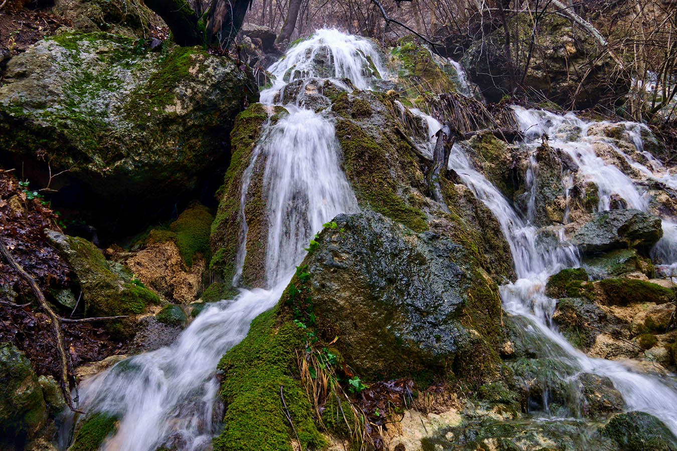 "Алешина вода"