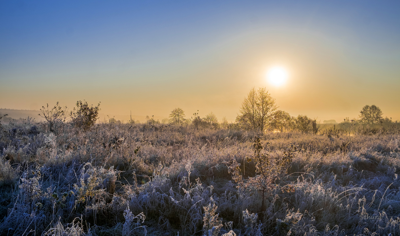 Утро а поле.