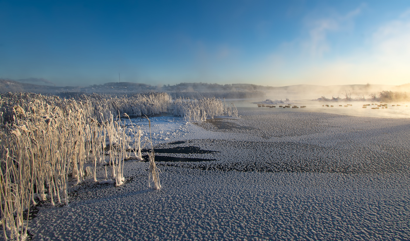 В утреннем свете