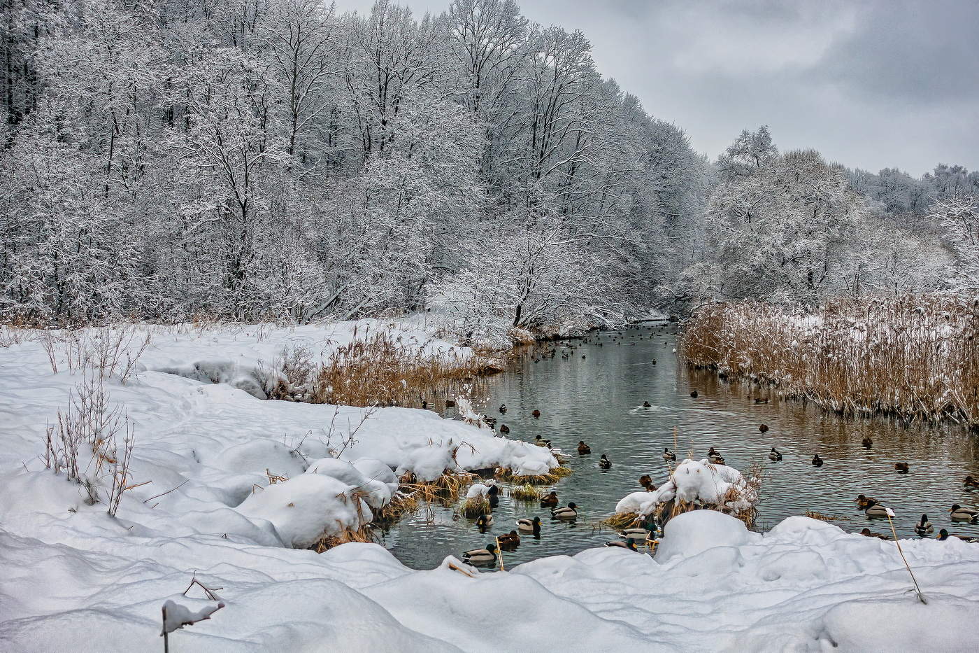 Рождественские кружева
