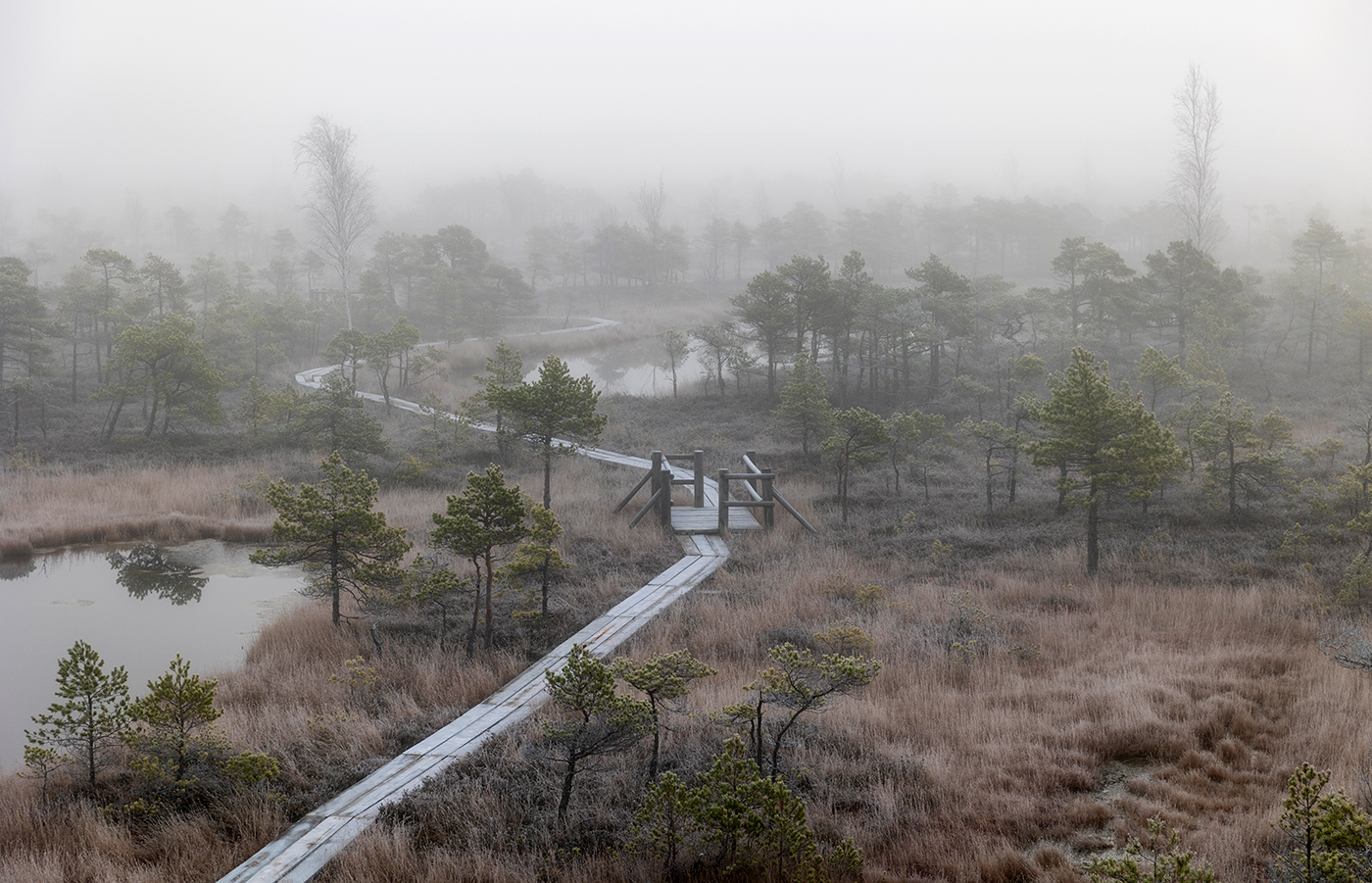 Разрезая туман