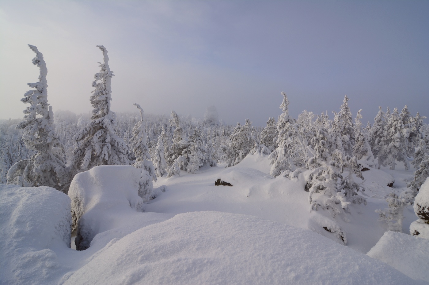 На вершине горы.