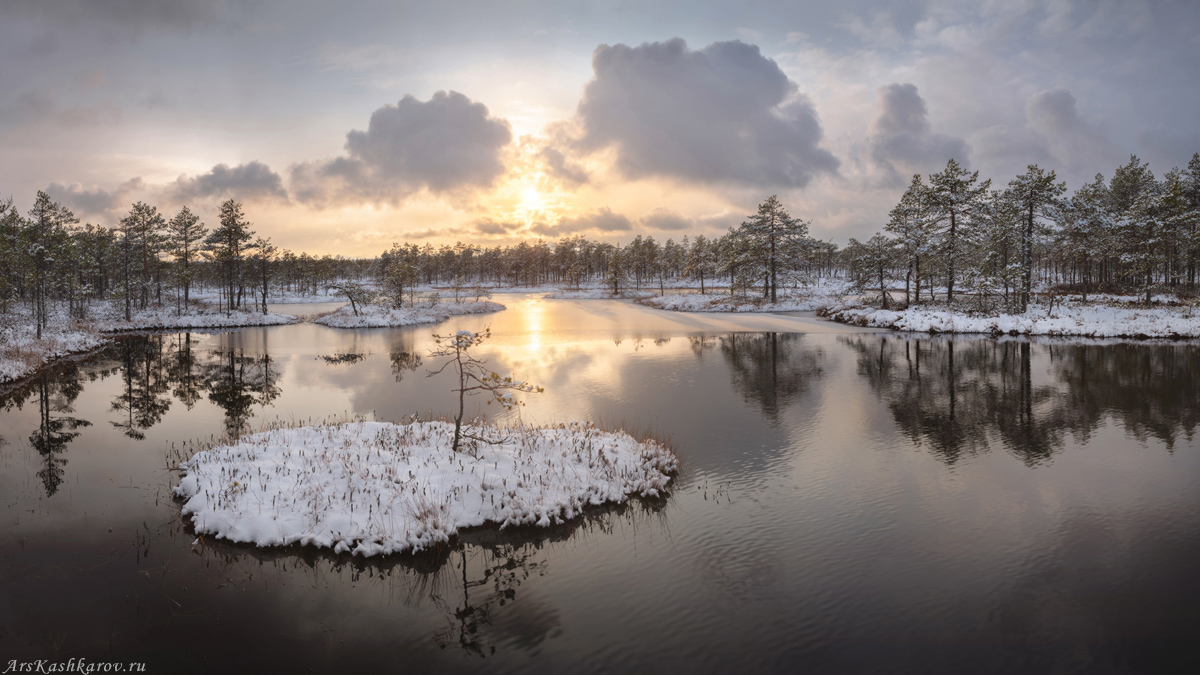 "Первый снег на болоте"