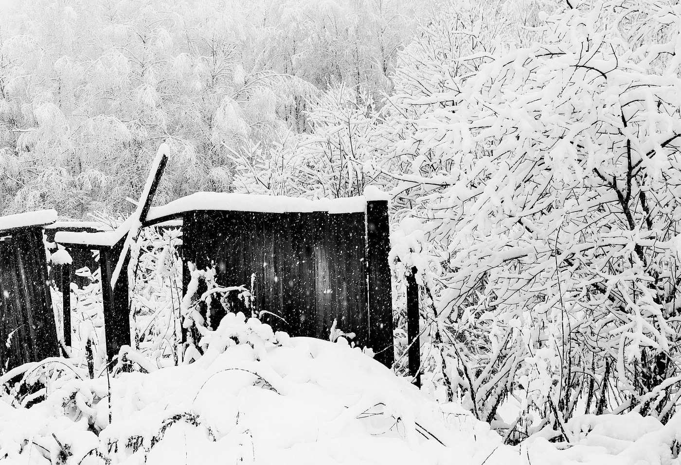 "Снегопад, снегопад - не стучись в мою дверь ..."