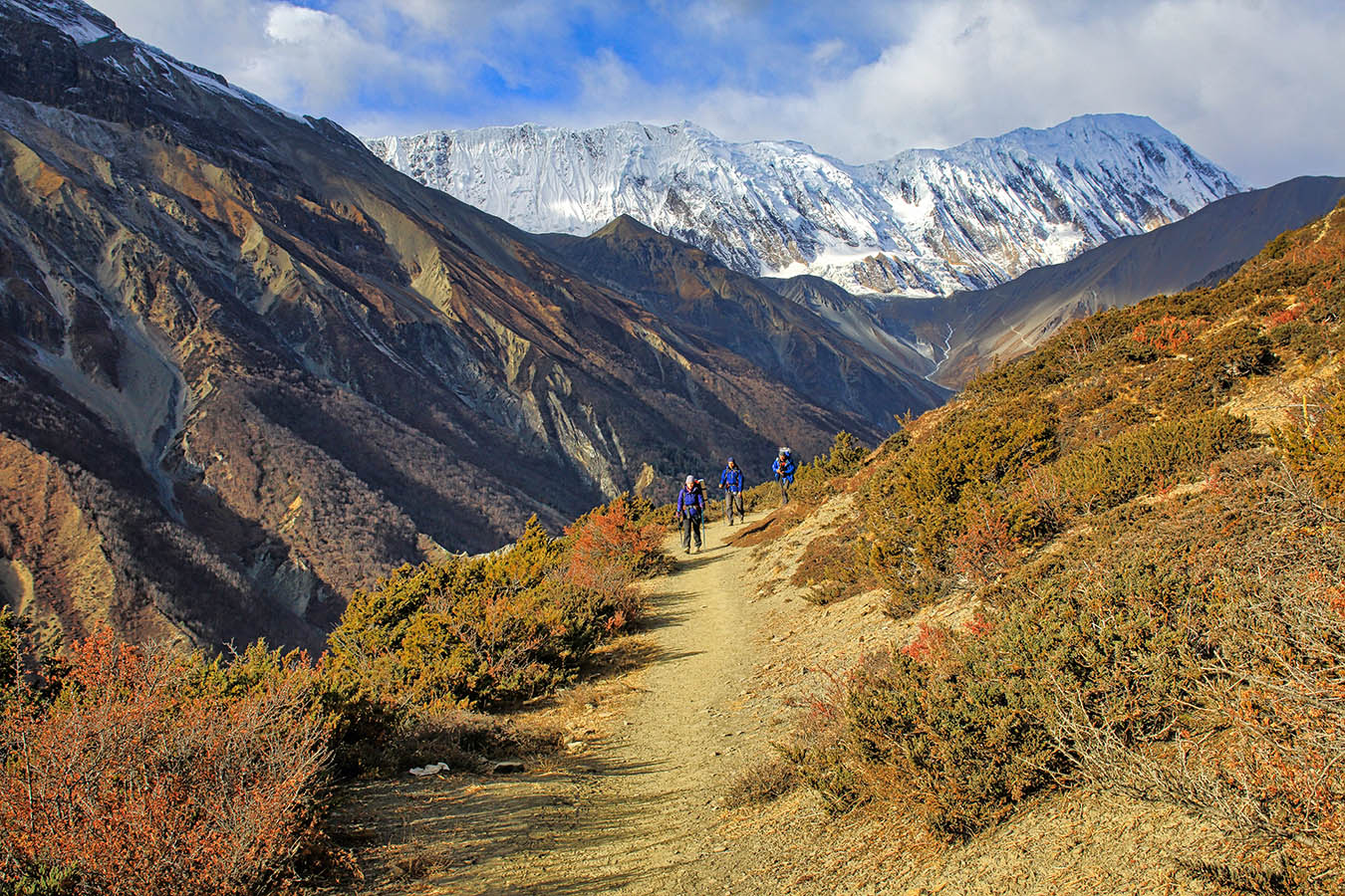 На горной тропе