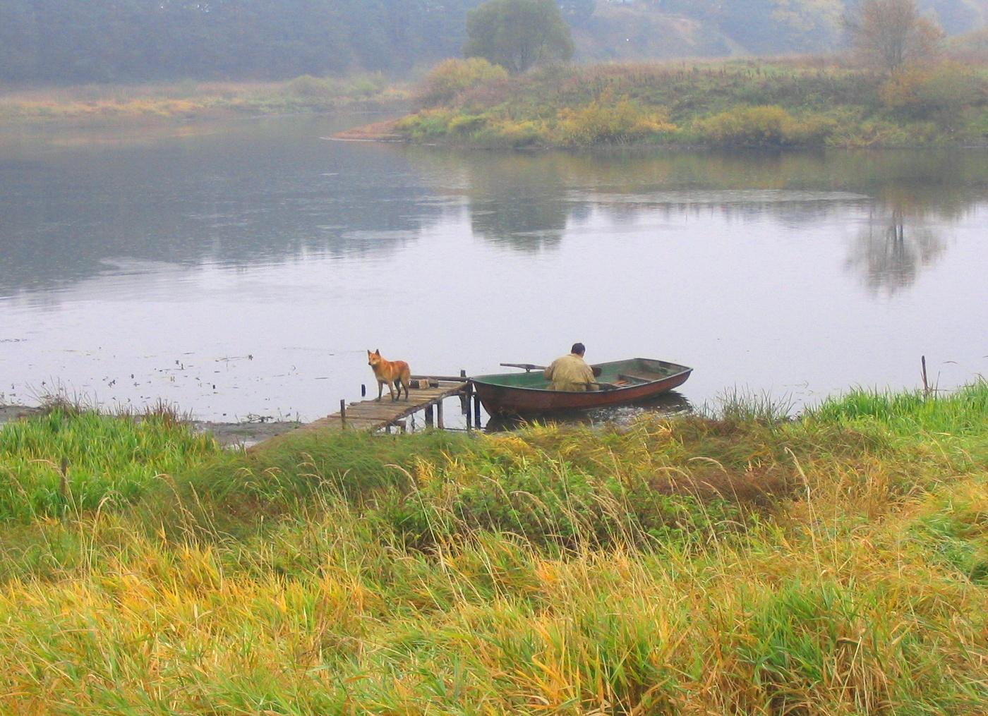 Осень рыжей собачки...