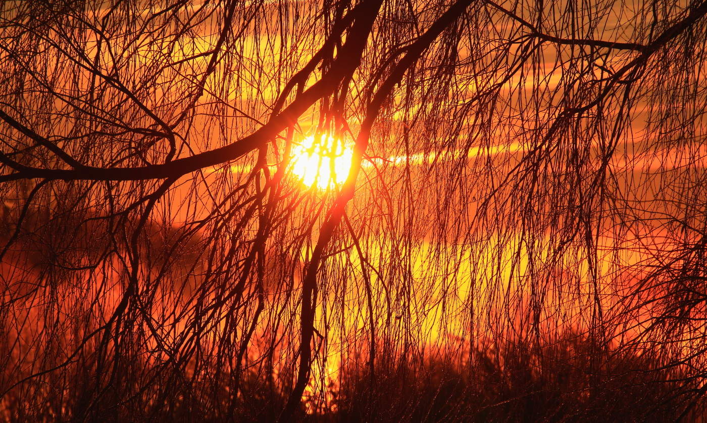 Цвето-графика восхода !!!