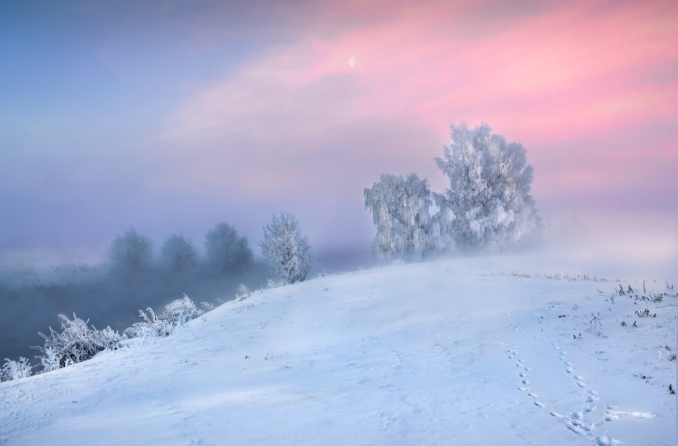 Волшебство зимы