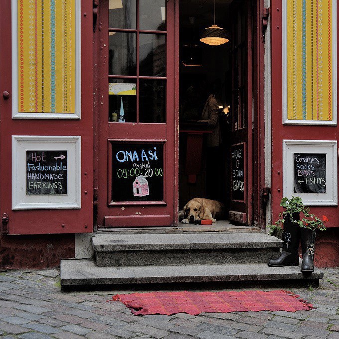 Наблюдатель