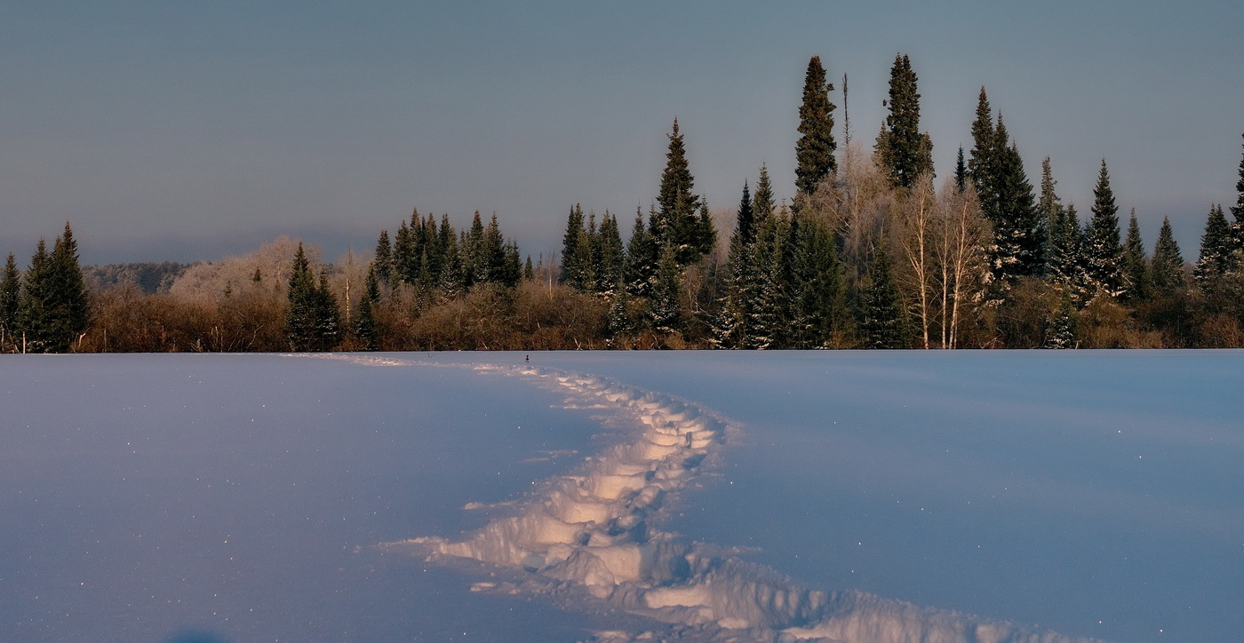 Зимний день.