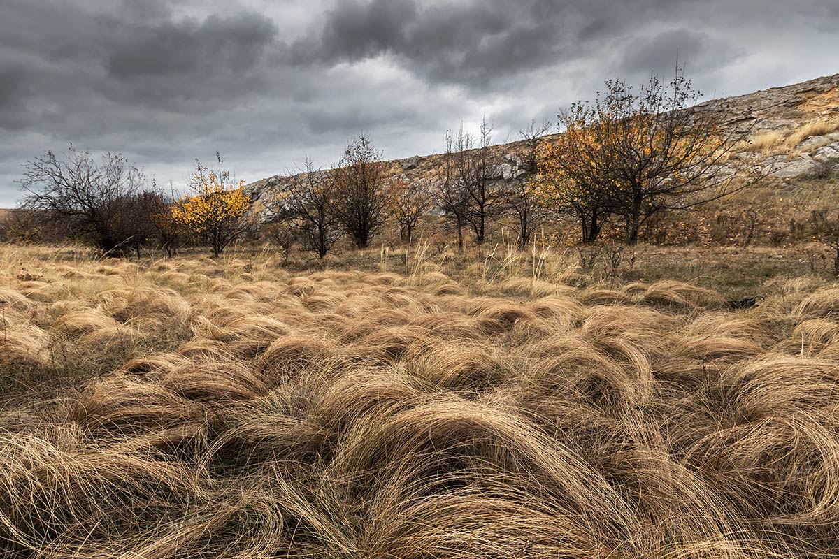 Осенние локоны