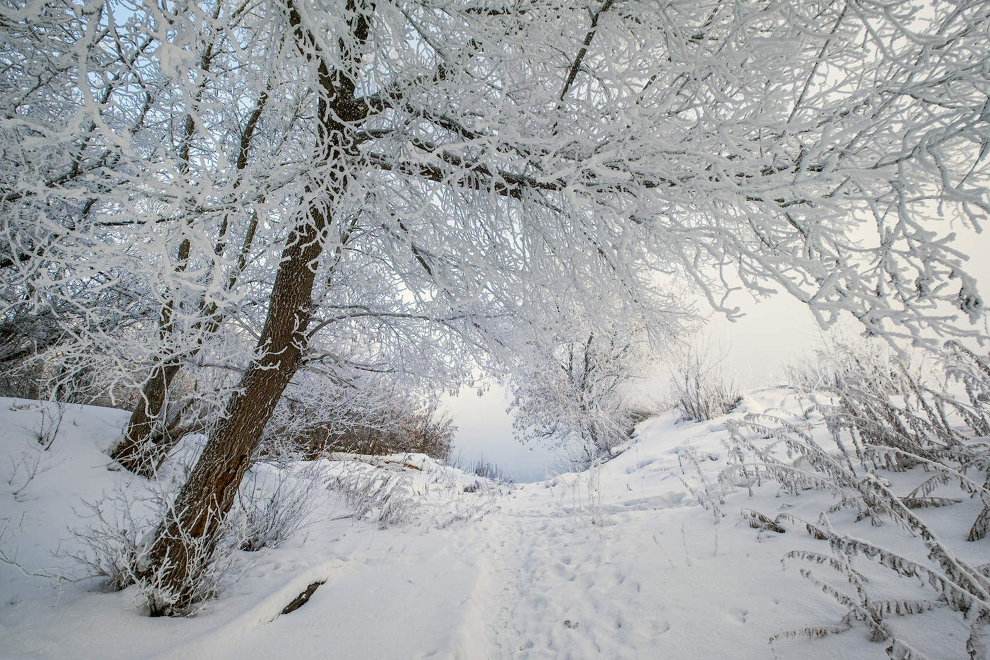 В гостях у Мороз Иваныча