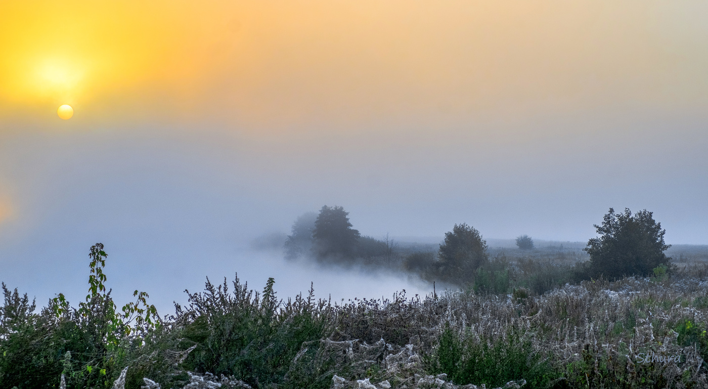 На озере туман.