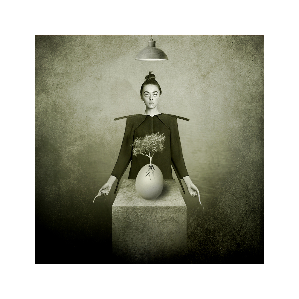 бонсай (зарождение)