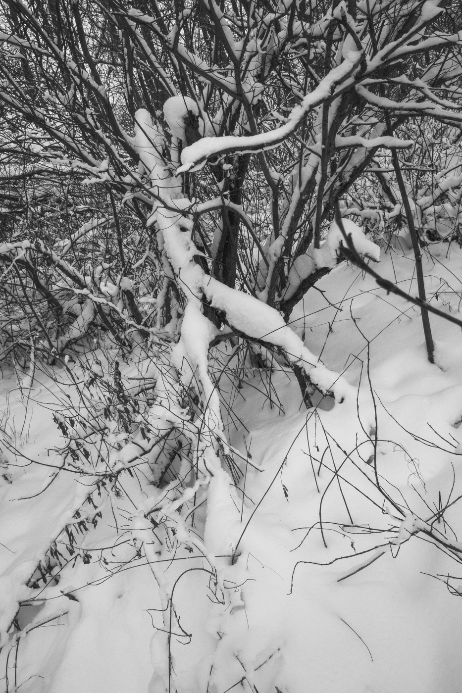 Жизнь вокруг