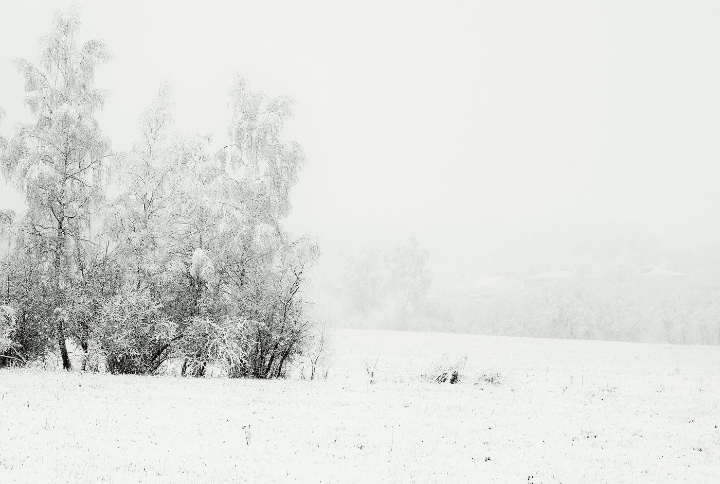 "Опять метель ... и мается былое в темноте..."