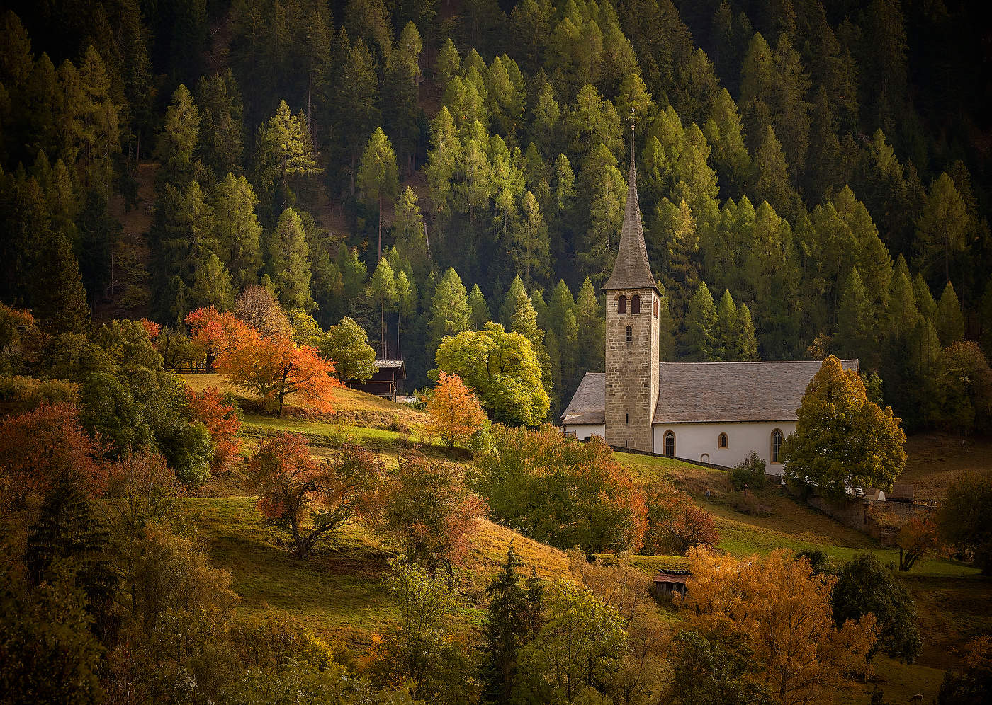 Цвета осени.