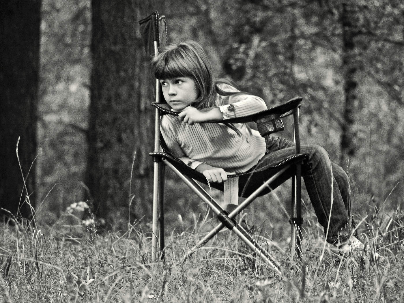 В тёмном лесе...