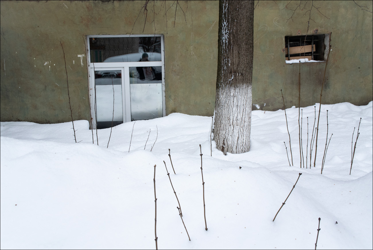 *ав*тор*п ортре