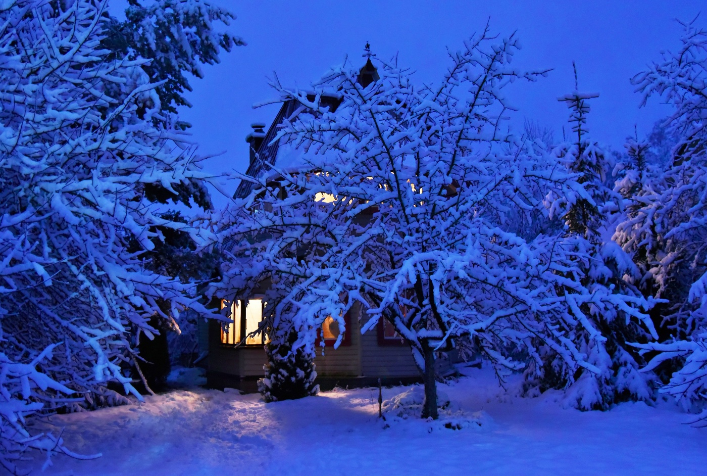 "Сумерки зимние, сумерки синие ..."
