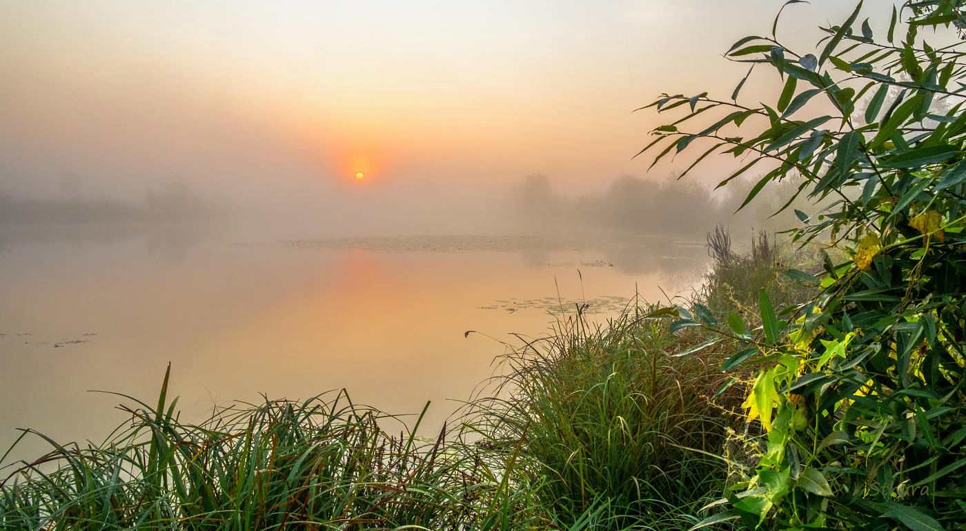 Тихое утро.