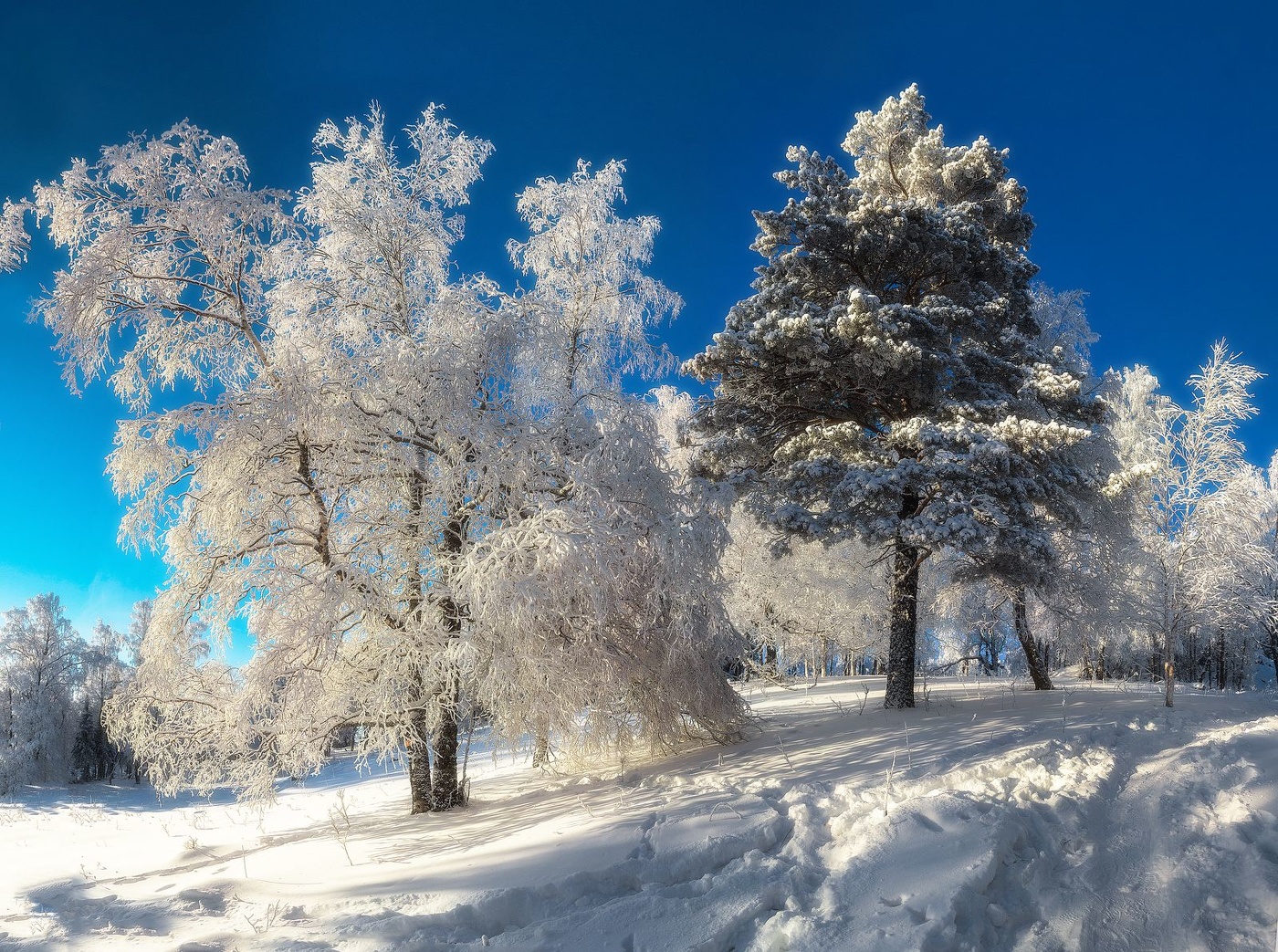 По тропе на хребет Москаль
