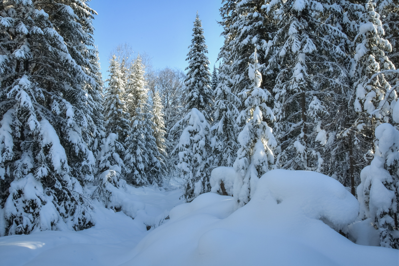 Зима рисует...