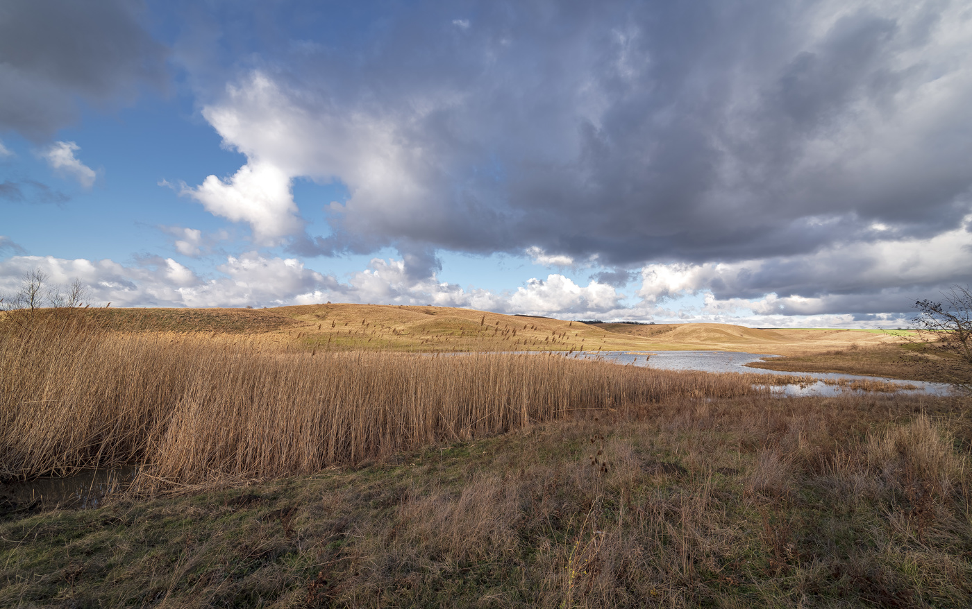 Обычный январский день