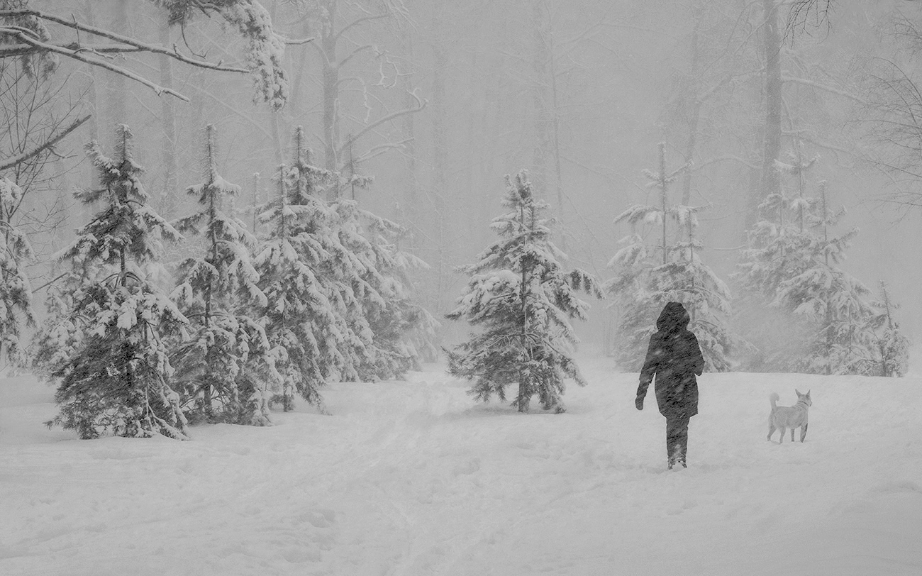 Зимняя прогулка