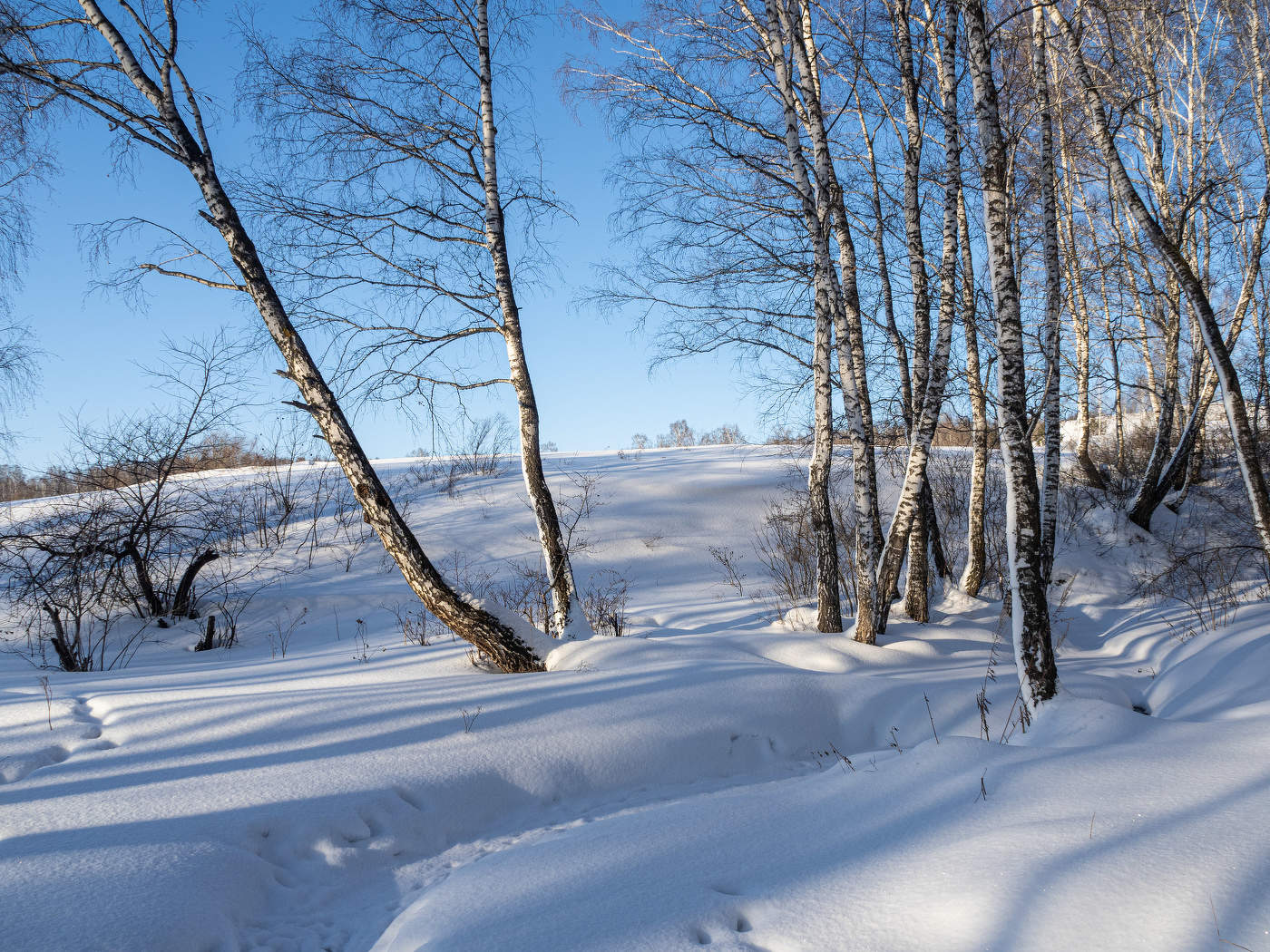 Мороз и солнце