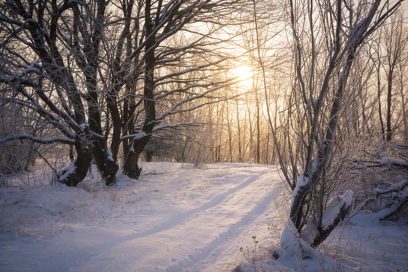 По зимней дороге