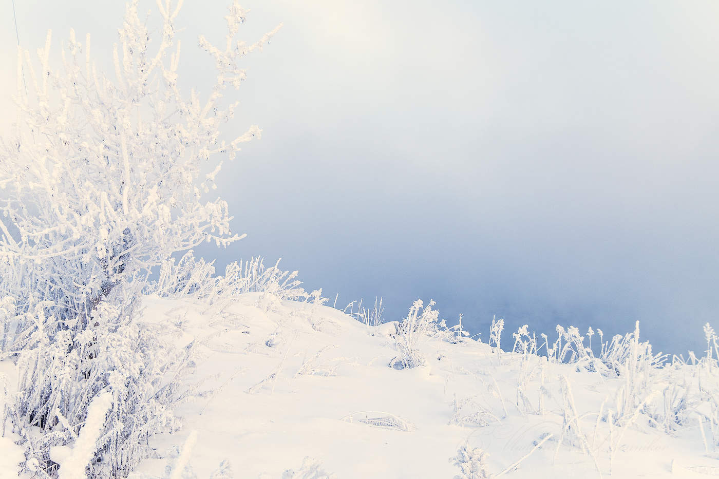 В гостях у Снежной королевы