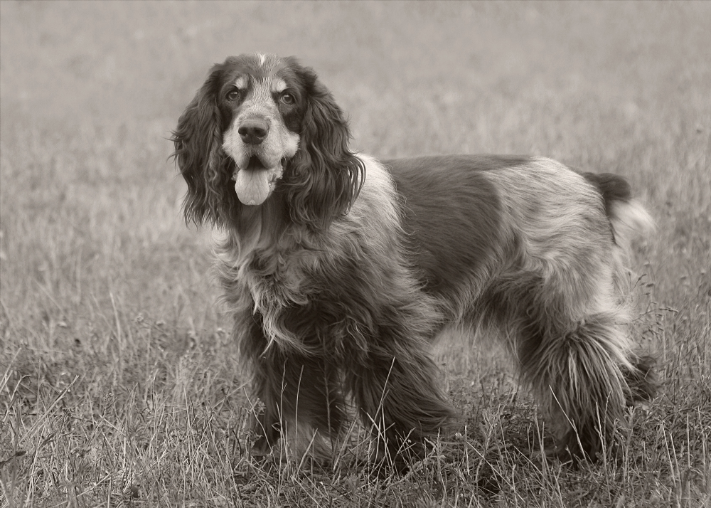 Мона. Много лет назад