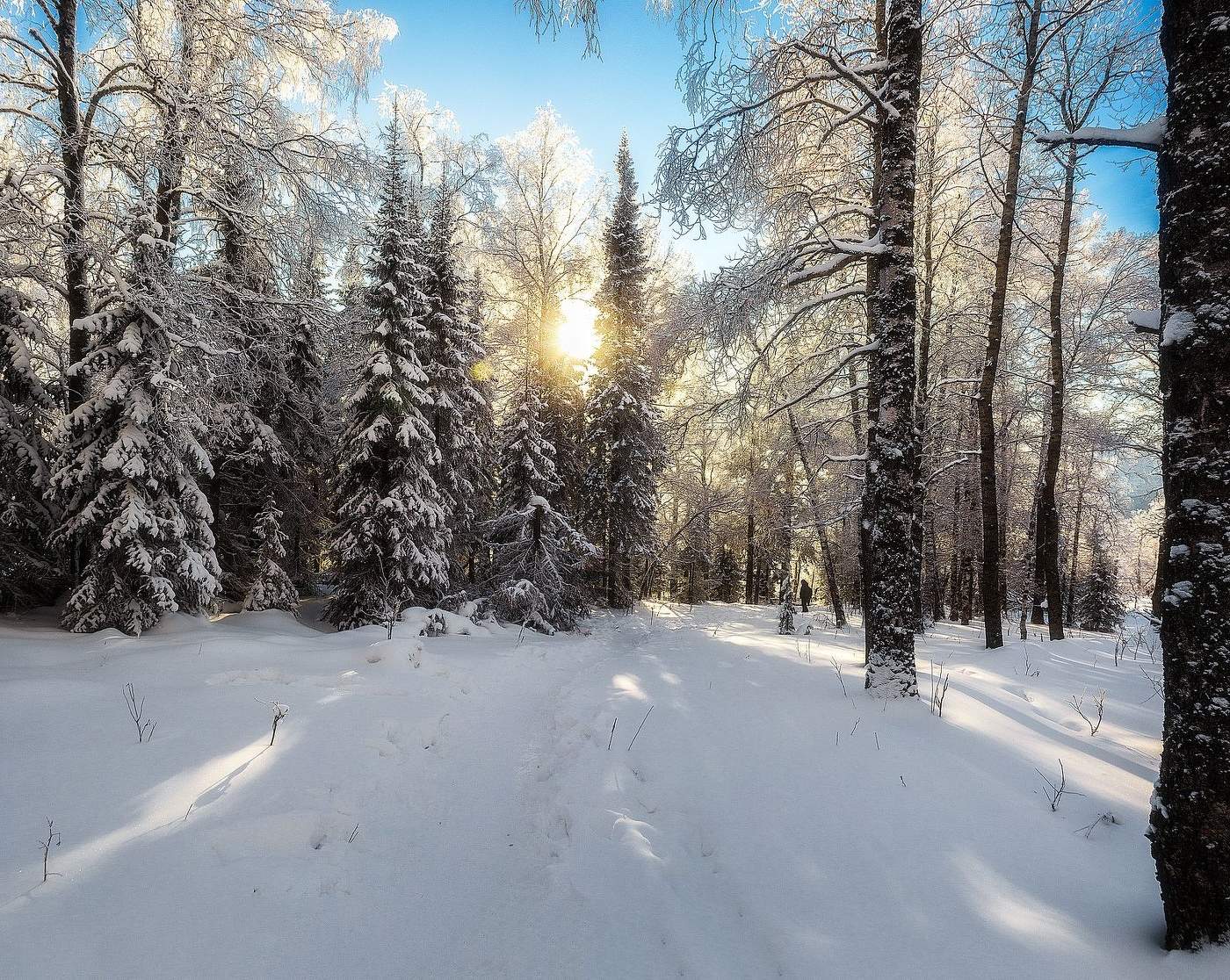 По тропе на хребет Москаль