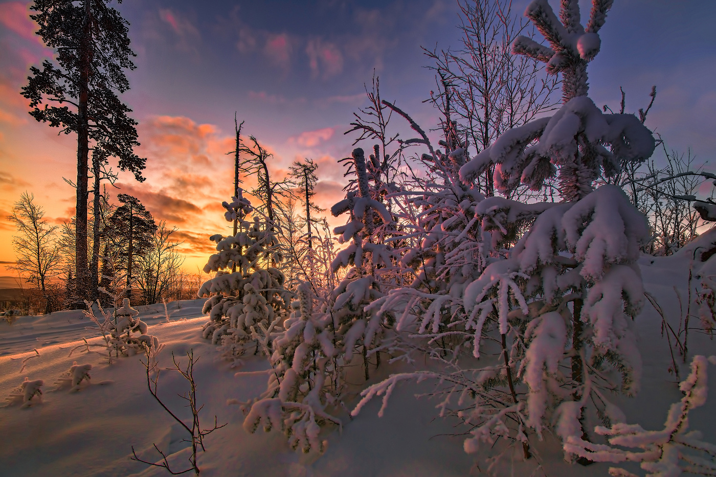 Утренние краски