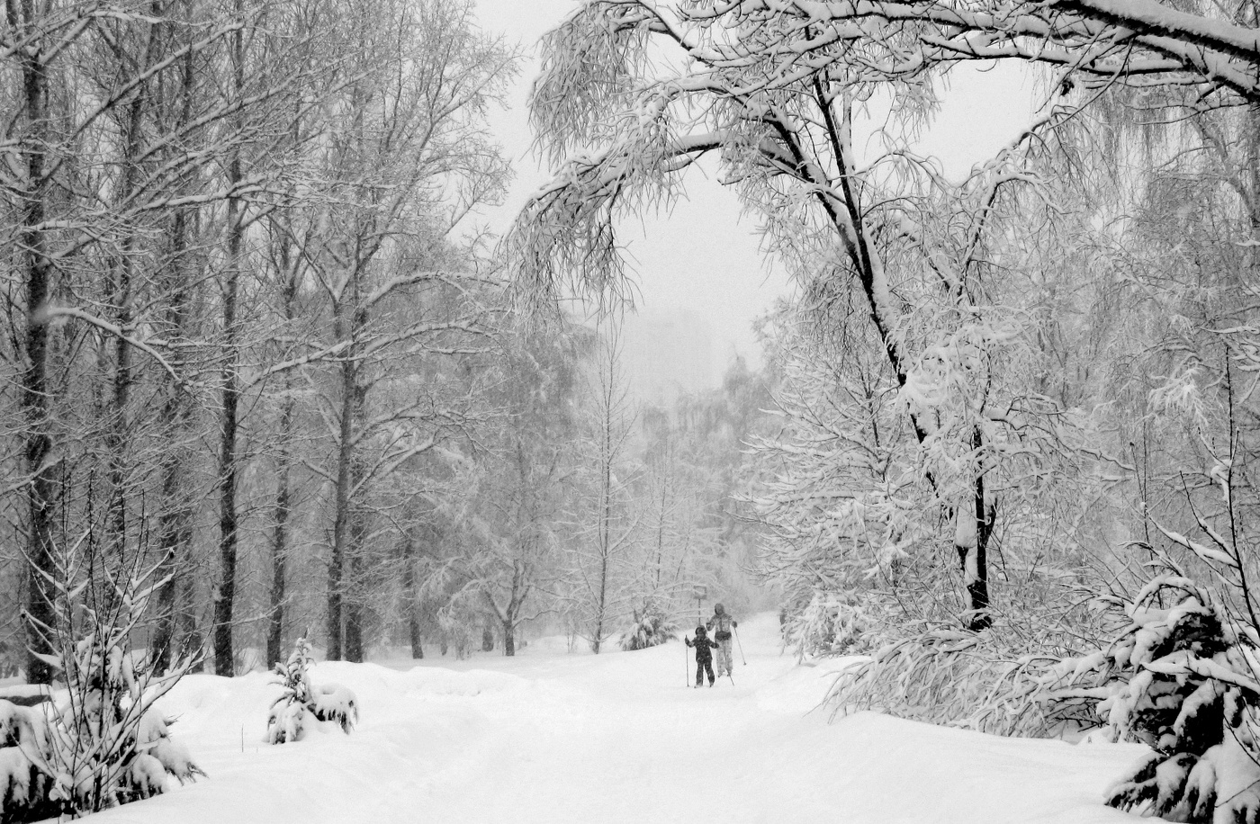На лыжах в любую погоду.