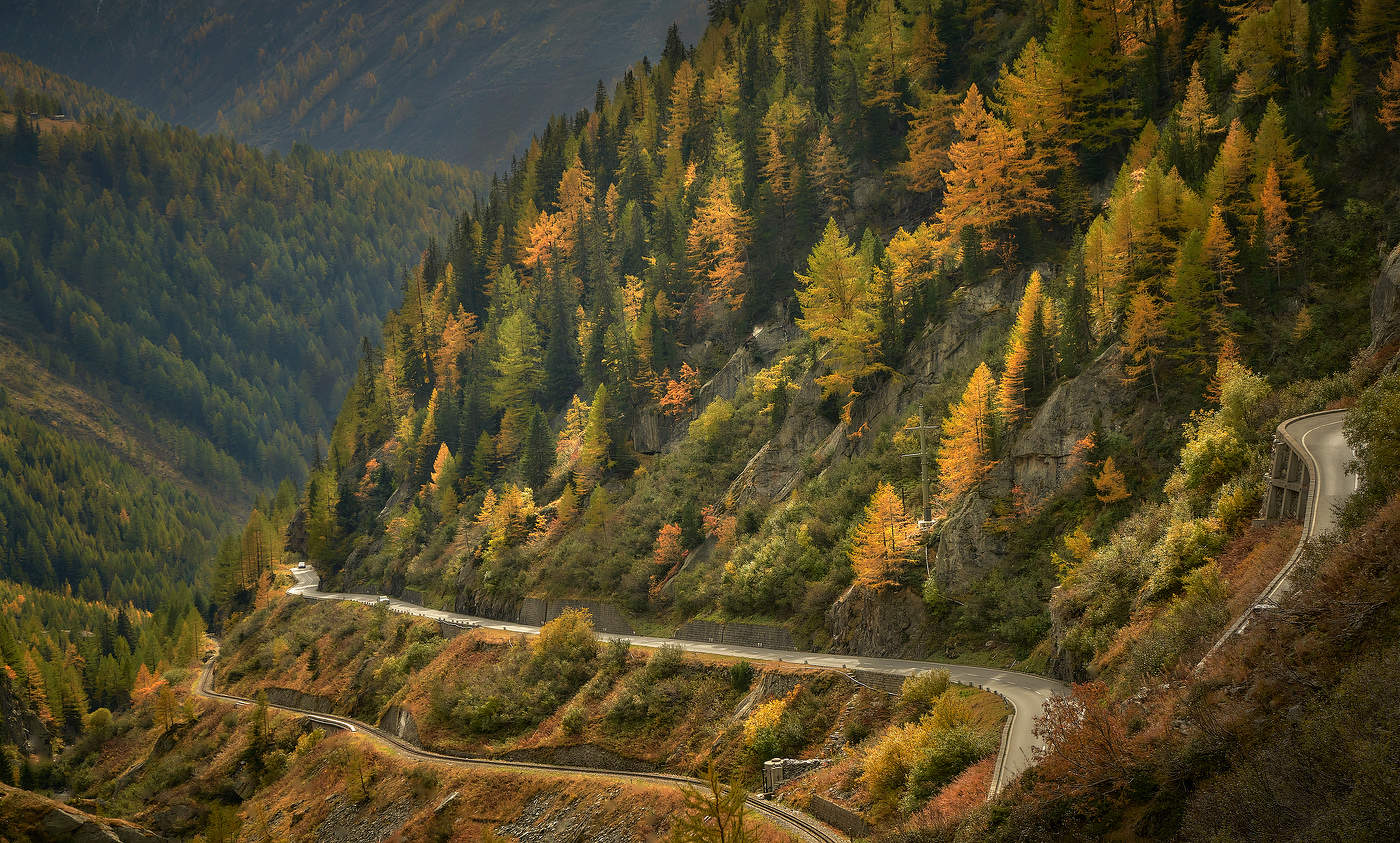 Дорога в Осень...