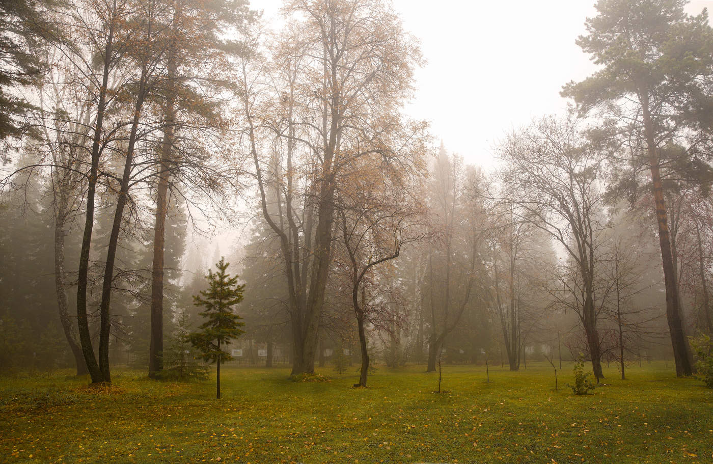 Осень.Ермаково поле
