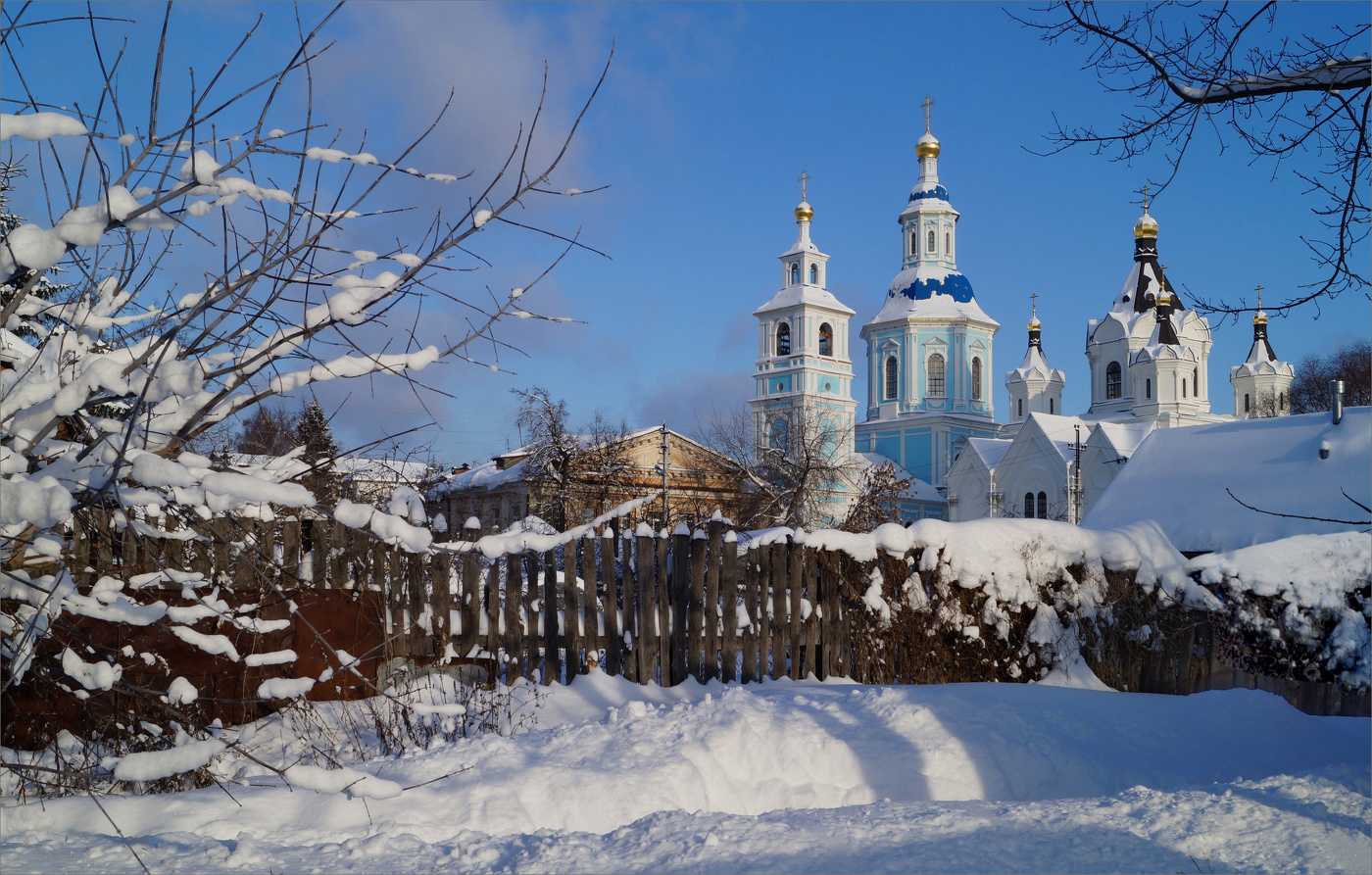 Январский вид