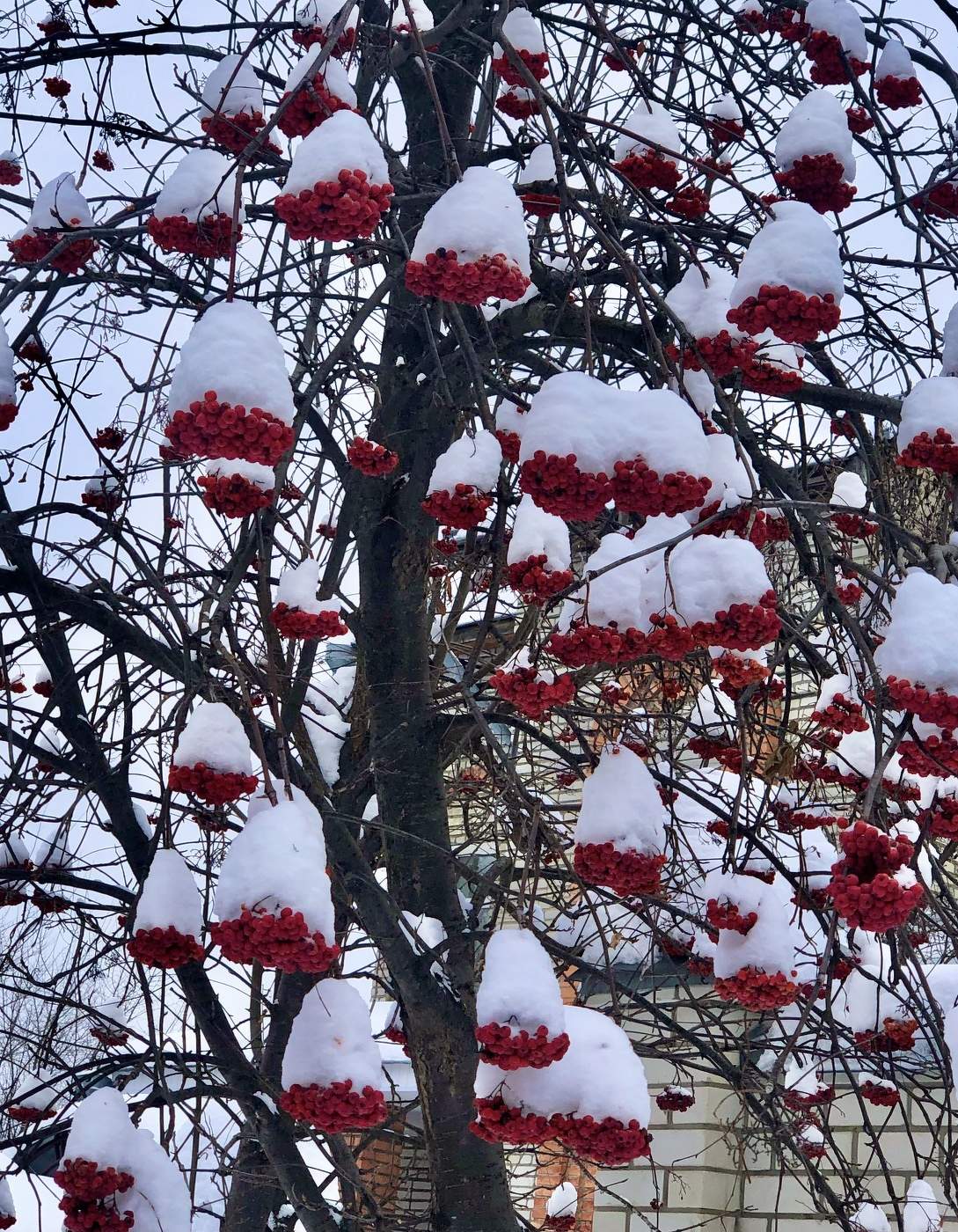 Русская зима